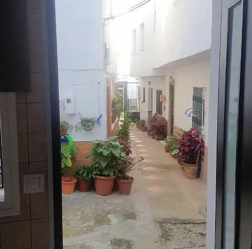 Pepas En El Centro Conil De La Frontera